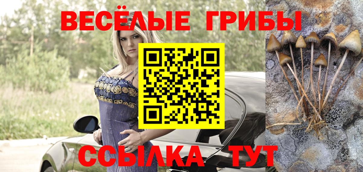 Домодедово  Псилоцибиновые грибы GOLDEN TEACHER  закладка  Вход с VPN 